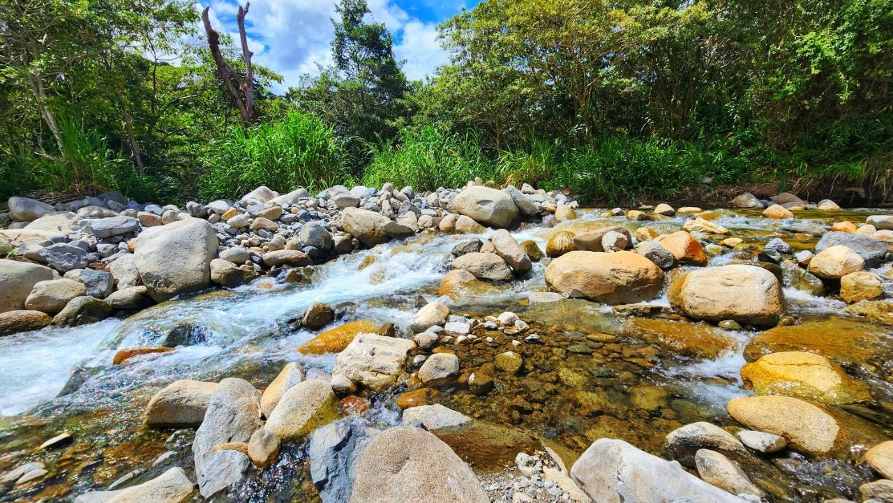 Rio Verde By Villa Alejandro Boquete Bagian luar foto