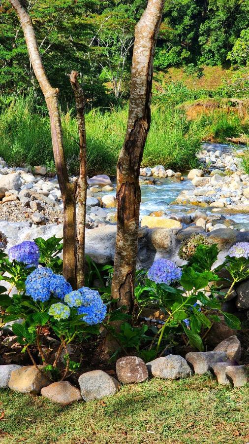 Rio Verde By Villa Alejandro Boquete Bagian luar foto